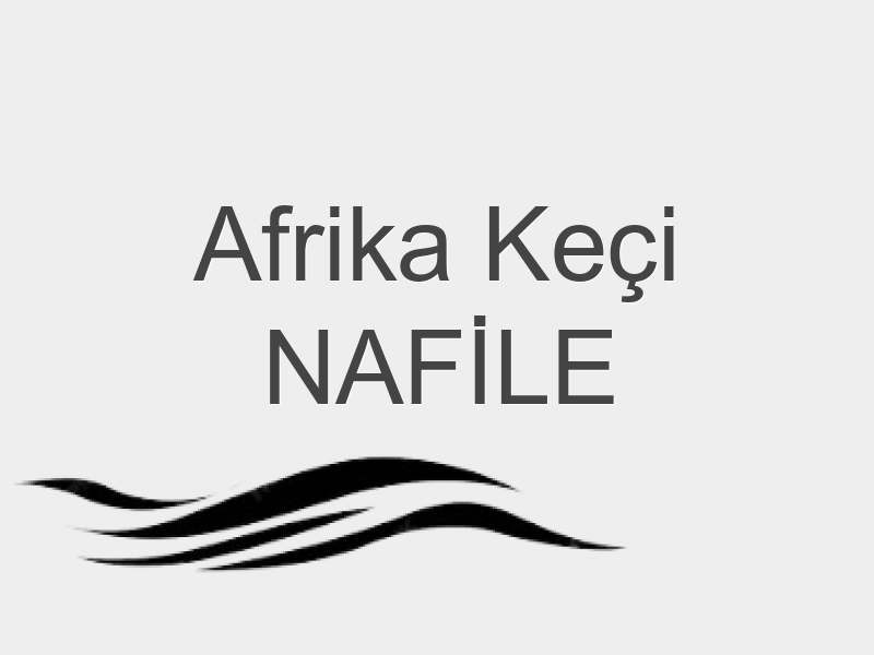 YURTDIŞI KEÇİ NAFİLE KURBANI